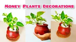 Money plants Decorations ideas |New Modern Ideas |Indoor plants Idea Terracotta Pots without WATER