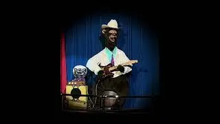 “You’ve Got A Friend In Me” At The New Country Bear Musical Jamboree Show At Walt Disney World