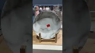 Primark dinner plates