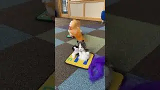 Puppet Storytime