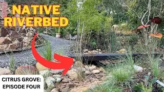 Making a Citrus Grove [PART FOUR]: Fern Gully and Riverbed