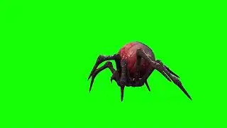 Scary Spider Free Greenscreen Video Animation | Free Green Screen | No Copyright Greenscreen Bd