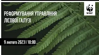 Створення державного підприємства “Ліси України” та законопроєкт щодо його роботи