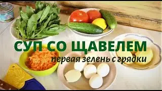 Суп со щавелем