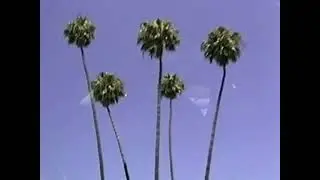 Los Angeles 2000 A.D.