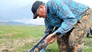 Проверка новых плечей  .