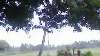 thakurani gadhua of maa giringeswari