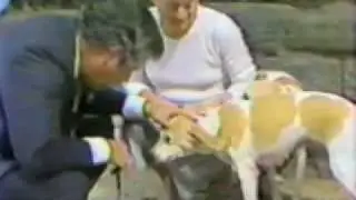 WPIX Blooper Reel (1984)