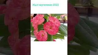 Жыл мугалим-2022