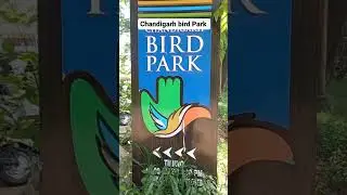 Chandigarh bird Park , Forest Devision Chandigarh | Bird Park