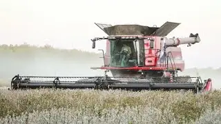 Soybean Harvest 2020 (Afrikaans) EP 5