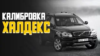 Калибровка халдекс на Вольво \\ Что об этом думает Александр Савин сооснователь компании Билпрайм?
