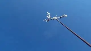 Лёт и посадка голубей - завораживающее зрелище!