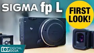Sigma fp L first look | Sigma fp Camera