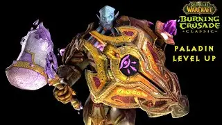 Classic TBC !!  Gold Farming !! AAT! WOTLK prep ! World Of Warcraft PALADIN leveling