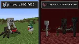 Minecraft when the PLAYER is GONE