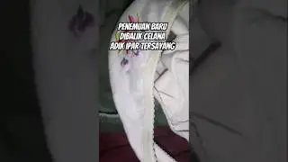 penemuan baru,dibalik celana adik ipar tersayang.. 