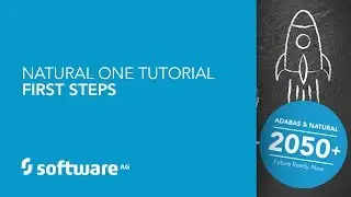 Natural ONE Tutorial - First Steps