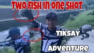 two fish in one shot is what I got  with a tiksay or sling shot