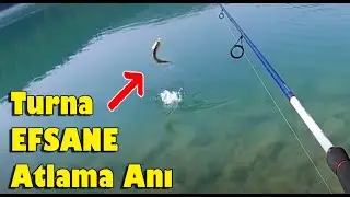 Pike Hunting, Pike Fish, Cranes Thinking They Are Lambuka | Jumping Cranes | Pike Hunt