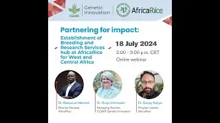 Establishment of Breeding and Research Services (BRS) Hub at AfricaRice for West and Central Africa