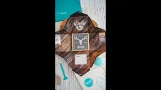 Mini Album in a Gift Box