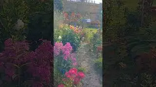 ДАЧА МОЕГО СОСЕДА #shorts #short #viral #video #amor #love #music #дача #природа #цветы #красота