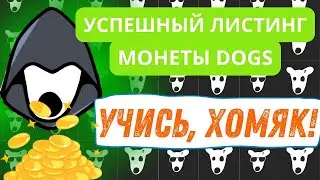 ⚠️ СРОЧНО DOGS ОБЫГРАЛ ХОМЯКА | DOGS ЦЕНА #dogs #dogsairdrop #dogsцена