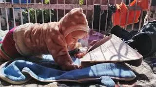 I think he is reading newspaper 🗞️🗞️😂😂