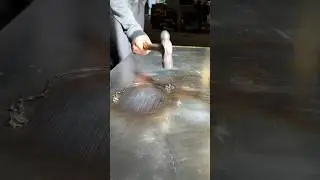 Satisfying Destruction of PRINCE RUPERT’S DROP (scientific mystery)