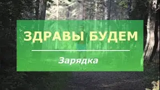 Здравы будем   Зарядка