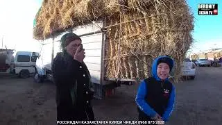 УТ ЕМ ХАШАК НАРХЛАРИ 19.11.2023