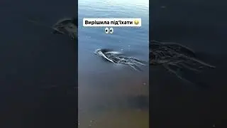 2 грудня 2023 р.