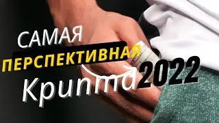 Самая перспективная криптовалюта на 2022 год. Прогноз криптовалюты.