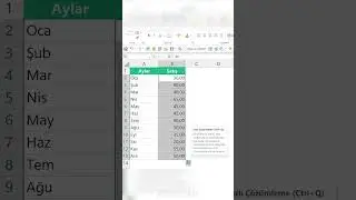 Excelde Tablodaki Toplam & Yüzde Verilerini Hızlı Bir Şekilde Alma 