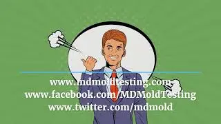 MD Mold Testing Real Customer Testimonials (Mold Testing Rockville Maryland mdmoldtesting.com)