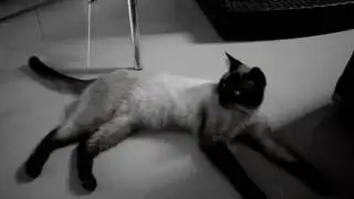 NIKON D3300 VIDEO TEST VILLA VINTAGE