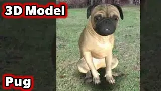 ARloopa - Pug Dog - 3D Model