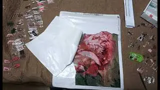 Алмазная мозаика без подрамника 40*50 
