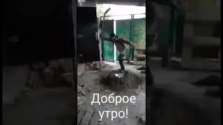 С утра на позитиве