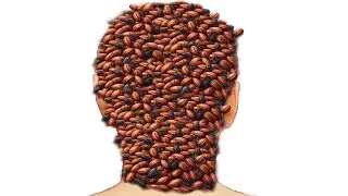 ASMR ANIMATION TREATMENT From Head