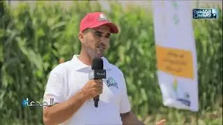 م.عبدالحميد الشورى: صنف الذرة الصفراء S500 اقتصادي في تكاليف الزراعة والانتاج