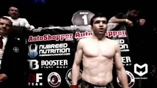 Timur Valiev MMA Highlights 2016 | Тимур Валиев Лучшие моменты в ММА 2016