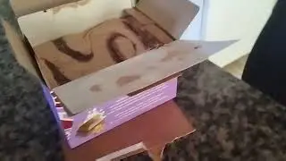 Provando Sorvete Crocrante kkkkkk
