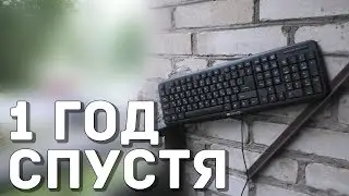Самая дешевая клавиатура через год жестокой эксплуатации