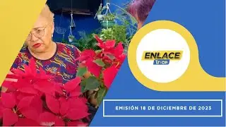 Noticias Enlace Trece (Emisión 18 de Diciembre de 2023)