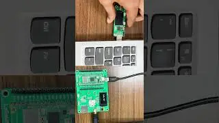 LoRaWAN Series - Gateways & Nodes