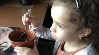 Соевое мясо