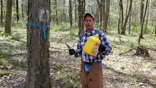 Property Boundary Line Marking