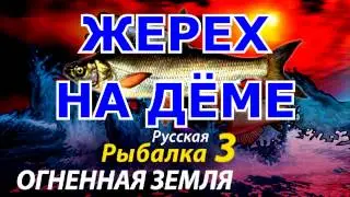 Русская рыбалка 3 Жерех на Дёме